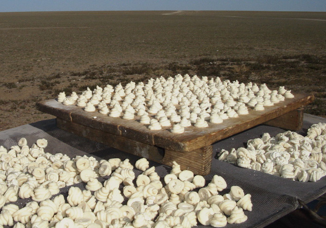 山羊の乳のチーズ