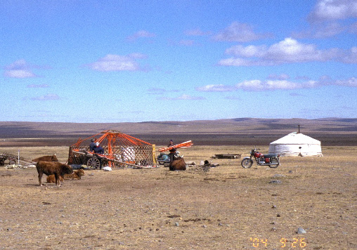 ゲルの解体風景