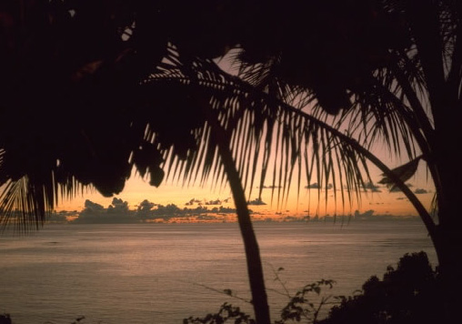 南国の夕暮れ