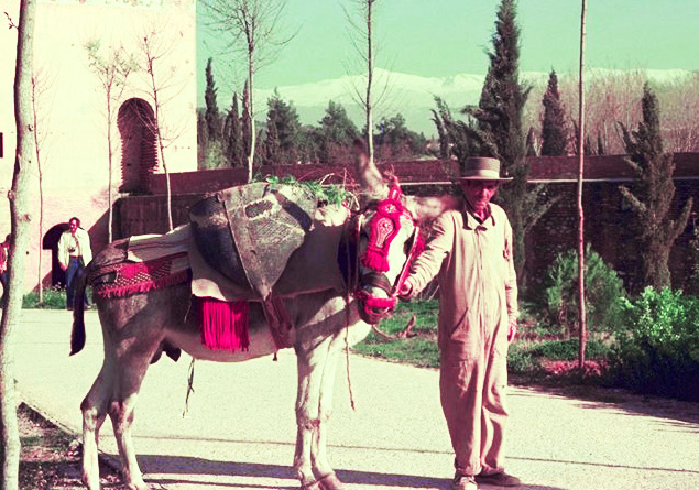 遠くシェラレオネ山脈を望む