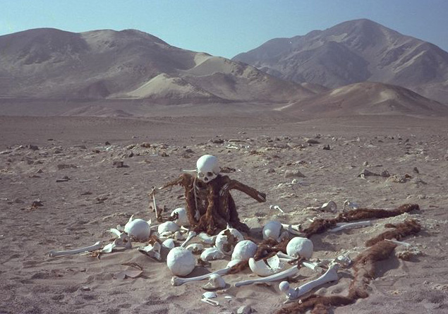 ナスカ地上絵の近く